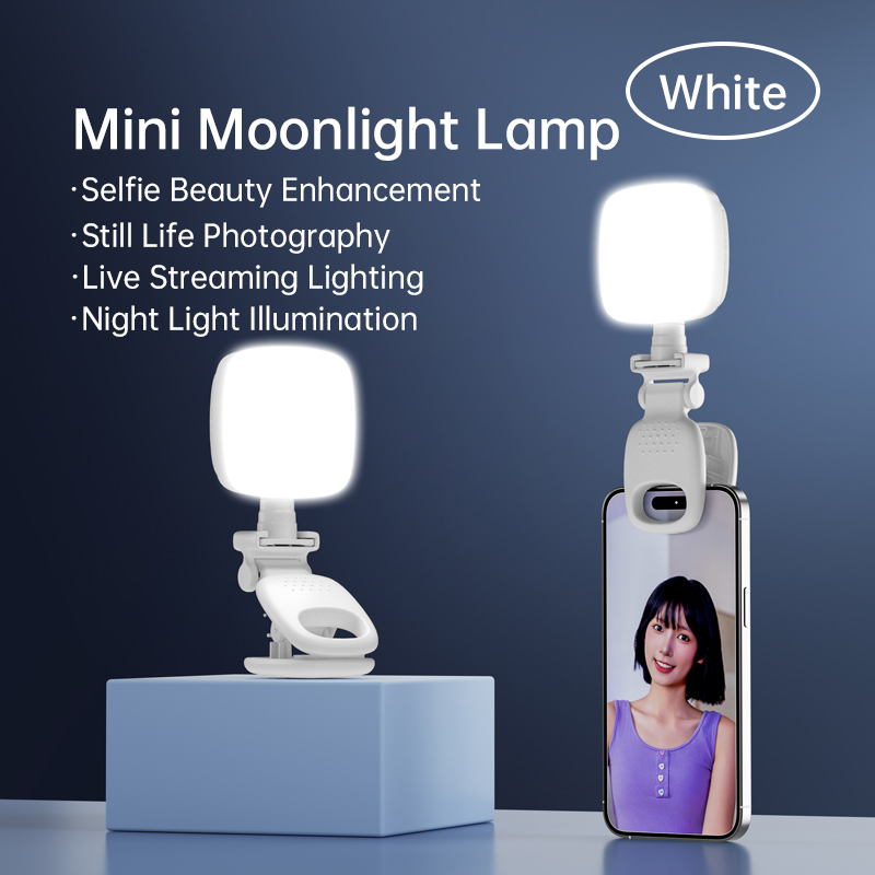 Lighting Visual - المحمولة LED Selfie ضوء كاميرا صغيرة